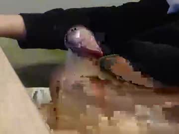 Alex_Idk February 19, 2025 Chaturbate stream image