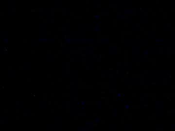 Cookieforme February 19, 2025 Chaturbate stream image