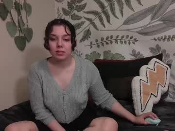 Punkpuppy February 20, 2025 Chaturbate stream image