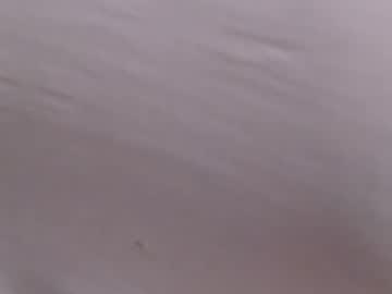 Realamazingboobs February 20, 2025 Chaturbate stream image