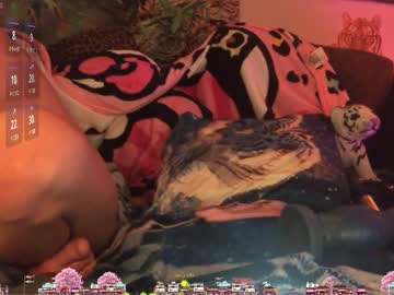 Thetwinkytiger February 20, 2025 Chaturbate stream image