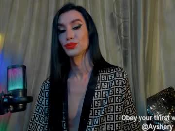 Ayshery_Sinheart February 20, 2025 Chaturbate stream image