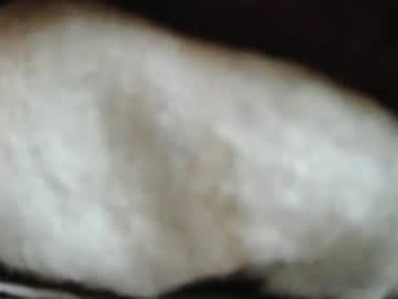 Kolo679754 February 20, 2025 Chaturbate stream image