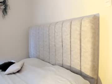 Any_Lol7 February 20, 2025 Chaturbate stream image