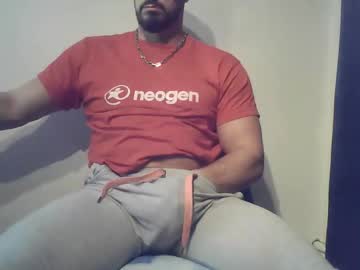 Studdotcom February 20, 2025 Chaturbate stream image