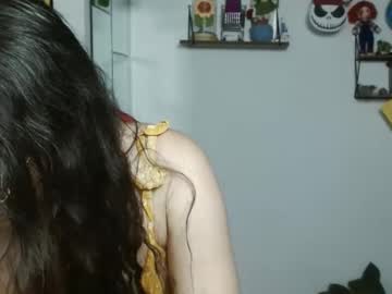 Koranikky08 February 21, 2025 Chaturbate stream image