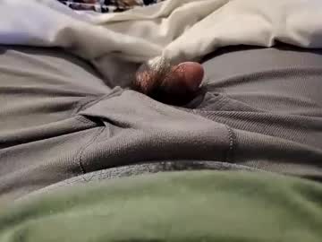 Wildathaert February 21, 2025 Chaturbate stream image