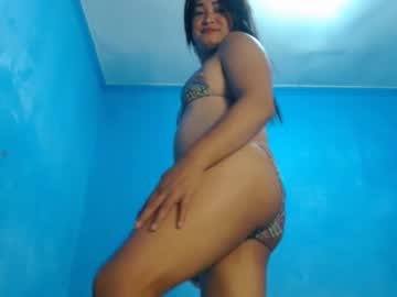 Wild_Pamela February 21, 2025 Chaturbate stream image