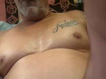 Brumby94561 February 22, 2025 Chaturbate stream image