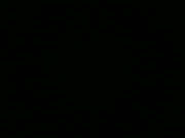 Ranrobin February 24, 2025 Chaturbate stream image