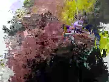 Cummwitme211 February 25, 2025 Chaturbate stream image