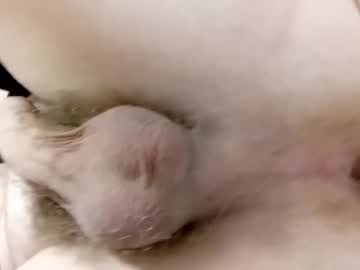 Cheekycha539041 February 26, 2025 Chaturbate stream image