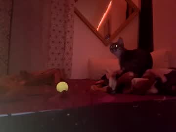 Bollykat February 27, 2025 Chaturbate stream image
