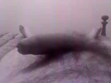 Scooty02 February 27, 2025 Chaturbate stream image