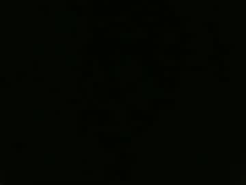 Chernoby444 March 12, 2025 Chaturbate stream image
