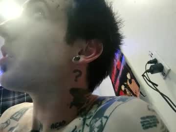 Homeinvasion March 12, 2025 Chaturbate stream image