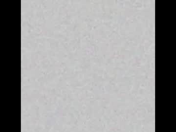 Rawpointpig41 March 17, 2025 Chaturbate stream image