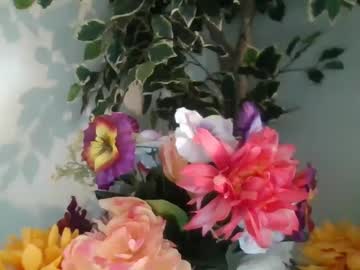 Zoe_Waters March 17, 2025 Chaturbate stream image