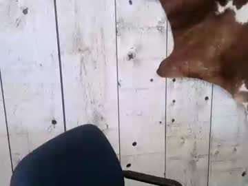 Openmindedcowboy March 17, 2025 Chaturbate stream image