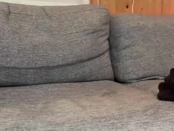Iprod March 17, 2025 Chaturbate stream image