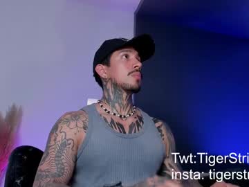Tigerstripes_ March 19, 2025 Chaturbate stream image