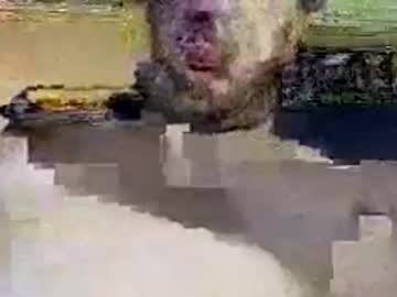 Bytchboy4cruelmz March 19, 2025 Chaturbate stream image