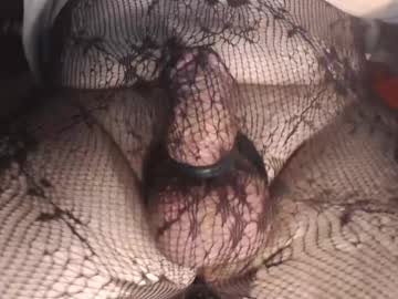 Maestro2017 March 19, 2025 Chaturbate stream image