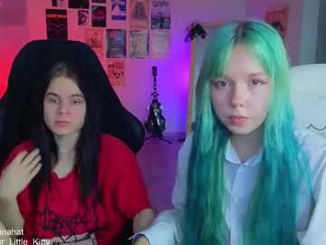 819sunflowerinahat2016 stream photo from March 20, 2025