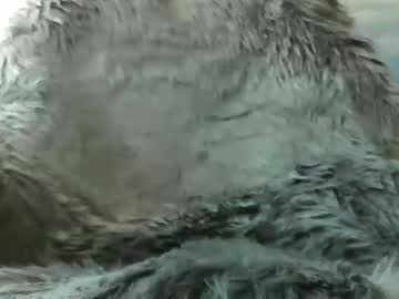 Leckfreund53 March 21, 2025 Chaturbate stream image