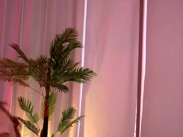 Avashay March 23, 2025 Chaturbate stream image