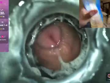 Xoxowtf March 23, 2025 Chaturbate stream image