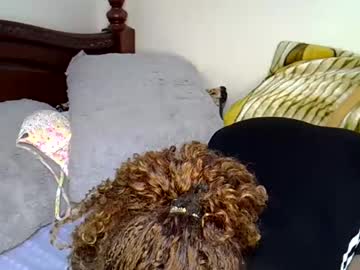Sexxyref_ March 25, 2025 Chaturbate stream image