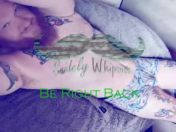 Snidelywhipsass March 26, 2025 Chaturbate stream image