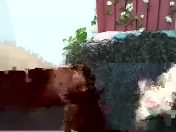 Abby__Flores April 01, 2025 Chaturbate stream image