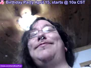 Silver_Willow April 03, 2025 Chaturbate stream image