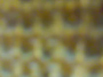 Fuewa April 03, 2025 Chaturbate stream image
