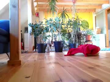 Thenudedude420 April 12, 2025 Chaturbate stream image