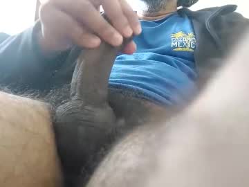 Palatco April 12, 2025 Chaturbate stream image