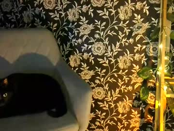 Sofixbuterfly April 14, 2025 Chaturbate stream image