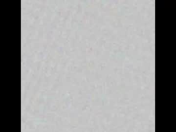 Bella_Veraa April 14, 2025 Chaturbate stream image