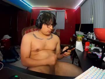 Justsky117 April 15, 2025 Chaturbate stream image