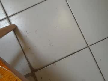 Wankadelik April 15, 2025 Chaturbate stream image