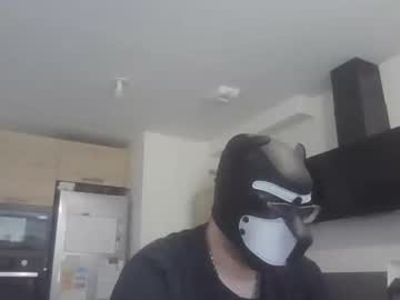 Jackstoun_Puppy April 17, 2025 Chaturbate stream image
