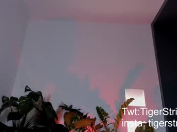 Tigerstripes_ April 18, 2025 Chaturbate stream image