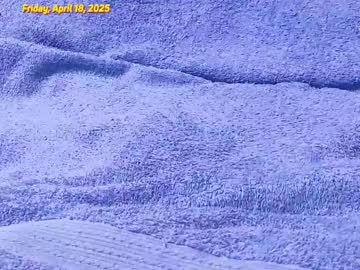 Ornimegalonyx April 18, 2025 Chaturbate stream image