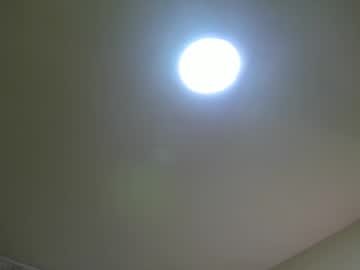 Sarasaenz__ April 21, 2025 Chaturbate stream image