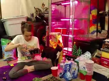 Alexagwonderland April 23, 2025 Chaturbate stream image
