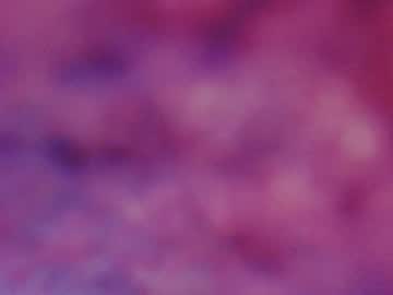 _Big_Sweet_Candy_ April 24, 2025 Chaturbate stream image