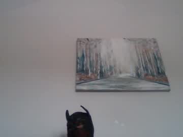 Sinista_Ovaload April 24, 2025 Chaturbate stream image