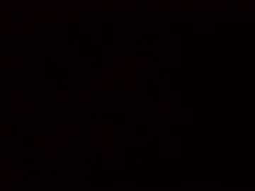 Hippihope420 April 24, 2025 Chaturbate stream image